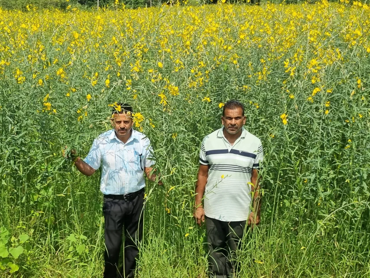 लैलूंगा के किसानों ने बदली खेती की राह
