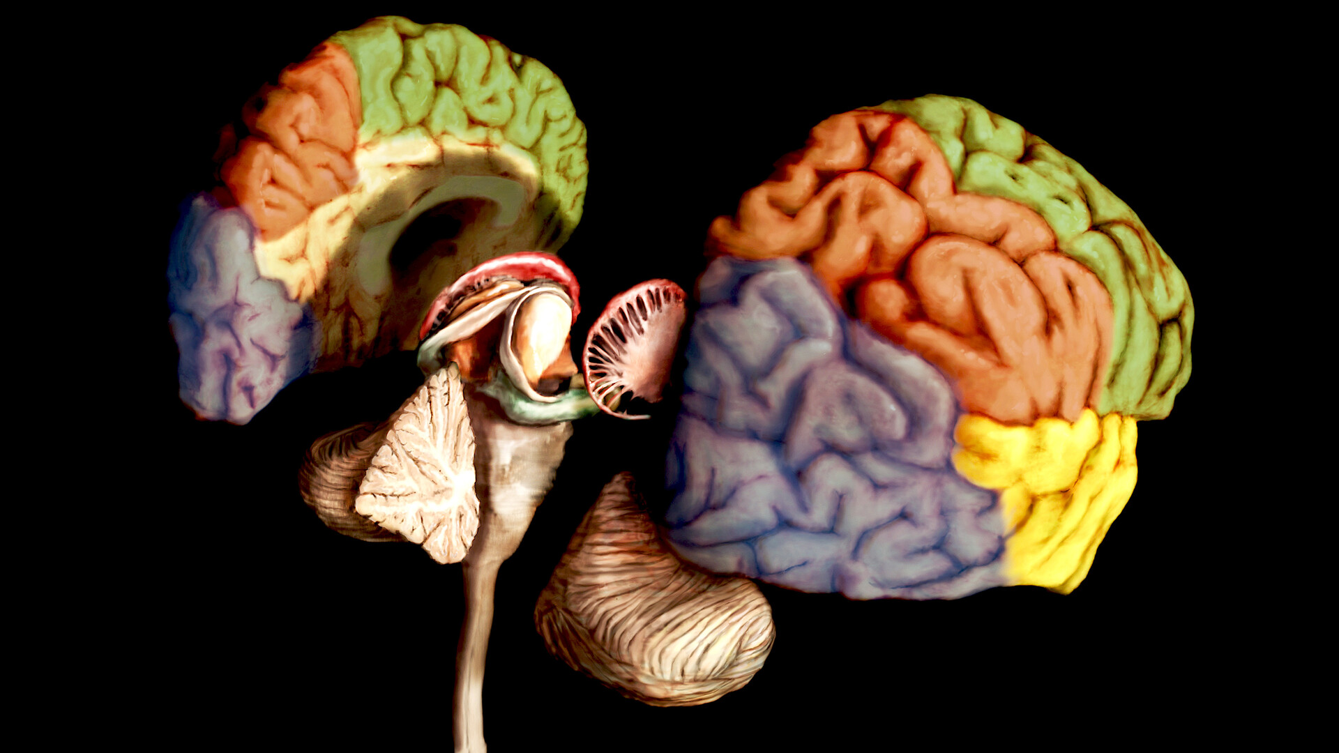 "FATAL FAMILAL INSOMNIA"