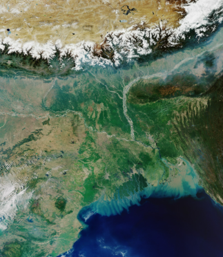 एनजीटी ने घोरमारा द्वीप बचाने का दिया आदेश
