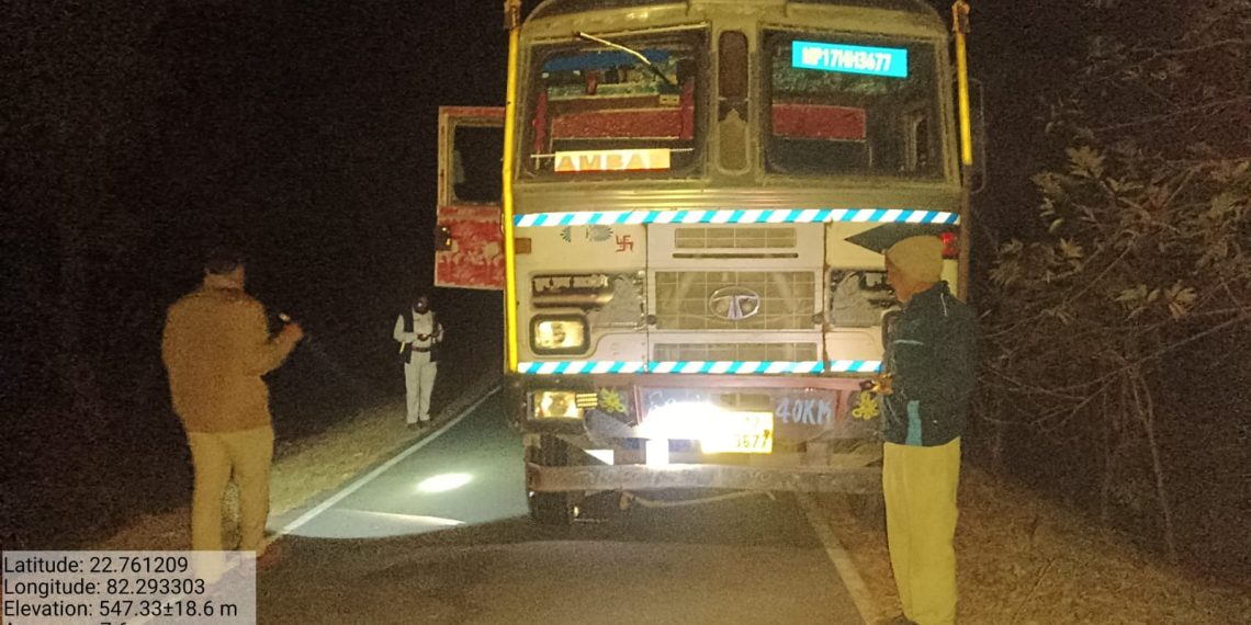 कोरबा में वन विभाग की बड़ी कार्रवाई, लाखों की साल लकड़ी से लदा ट्रक जब्त