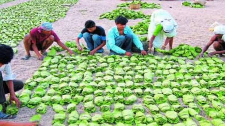 छत्तीसगढ़ के सुकमा जिले  में 