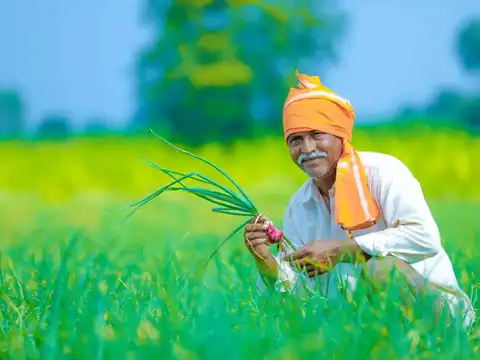 प्रधानमंत्री अन्नदाता आय संरक्षण अभियान 