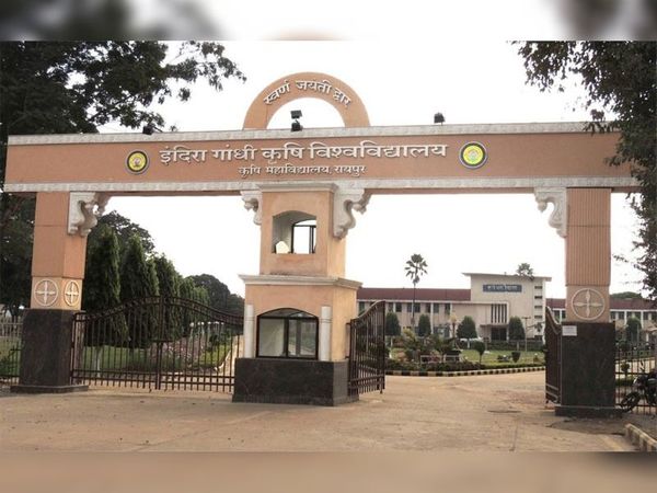इंदिरा गांधी कृषि विश्वविद्यालय में बी.टेक पाठ्यक्रमों हेतु ऑनलाइन काउंसलिंग प्रारंभ