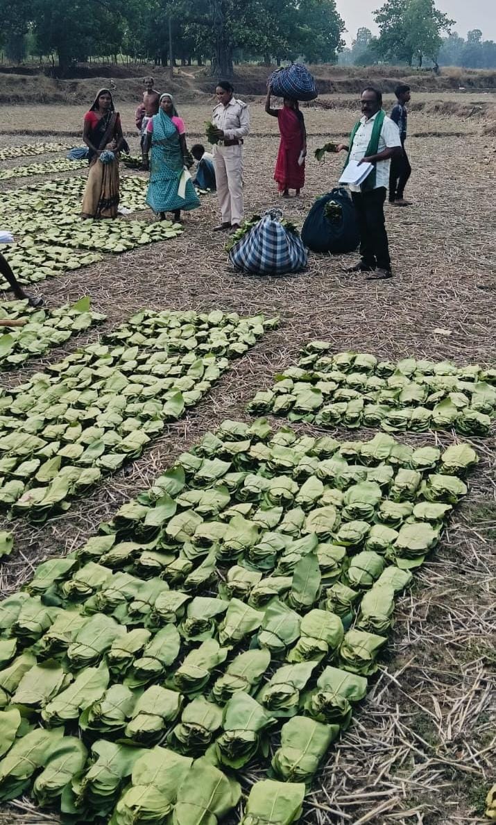 तेन्दूपत्ता संग्रहण के लिए प्रोत्साहन पारिश्रमिक (बोनस) का वितरण शुरू