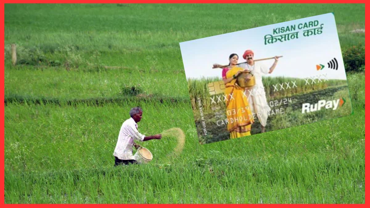 किसान क्रेडिट कार्ड योजना ने किसानों को बनाया आत्मनिर्भर, बेहतर उत्पादन से बढ़े हौसले