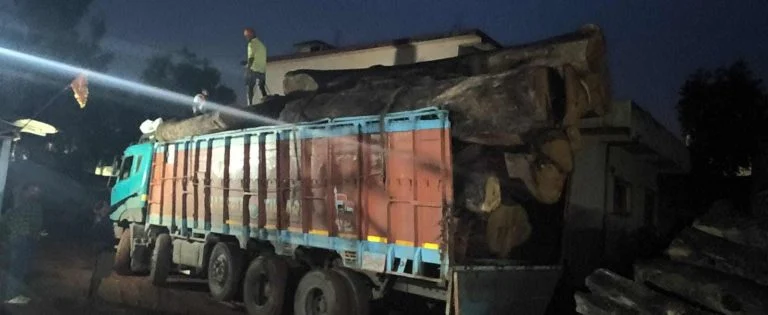 वन विभाग का बड़ा एक्शन: कोरबा से कटे साल के 206 पेड़ अभनपुर के आरा मिल से बरामद