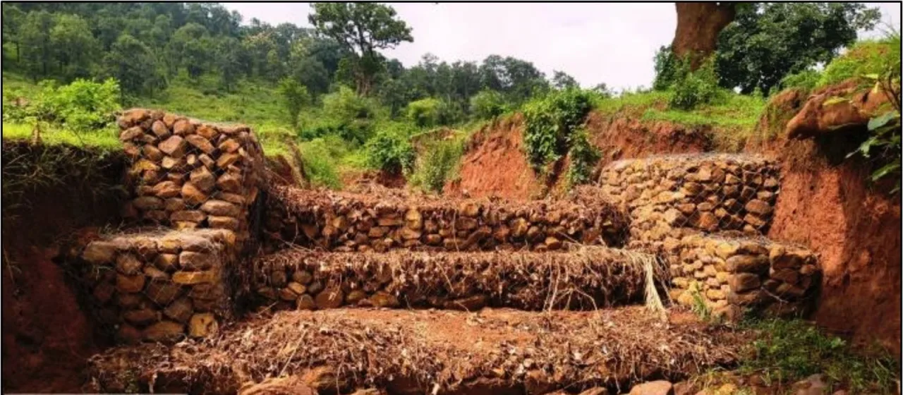 बस्तर में जल एवं मृदा संरक्षण की मिसाल बनी कुरमंडी नाले पर निर्मित गेबियन संरचना