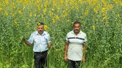 लैलूंगा के किसानों ने बदली खेती की राह