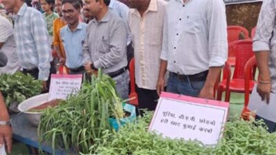 हरी खाद से खेती में हो रहा है बड़ा बदलाव, कम लागत में मिल रहा बेहतर मुनाफा 