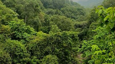 बस्तर संभाग के दूरस्थ और नक्सल प्रभावित इलाकों में अब विकास की नई तस्वीर
