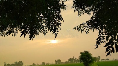खरीफ सीजन प्रदेश में खेती-किसानी का काम तेजी के साथ जारी