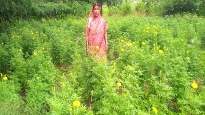 सेवा की कहानी : राष्ट्रीय बागवानी मिशन के अंतर्गत पुष्प क्षेत्र विस्तार घटक योजना से कुमारी ने गेंदे की खेती को अपनाया