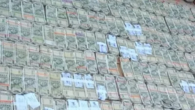 खैर लकड़ी अवैध कारोबार पर कार्रवाई, घर से 81 लाख जब्त