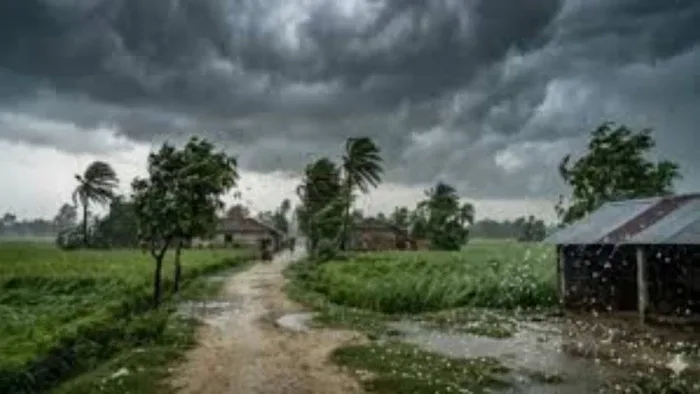 CG में फिर एक्टिव होगा मानसून, 9 सितम्बर को भारी बारिश का अलर्ट